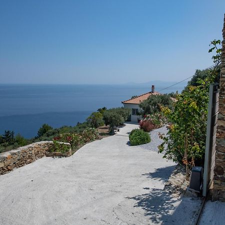 Avgi Villa Γλώσσα Εξωτερικό φωτογραφία