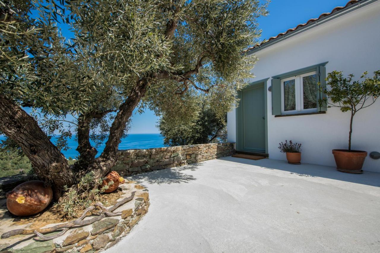 Avgi Villa Γλώσσα Εξωτερικό φωτογραφία