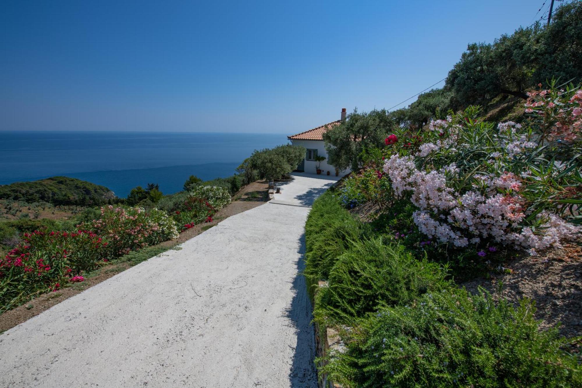 Avgi Villa Γλώσσα Εξωτερικό φωτογραφία