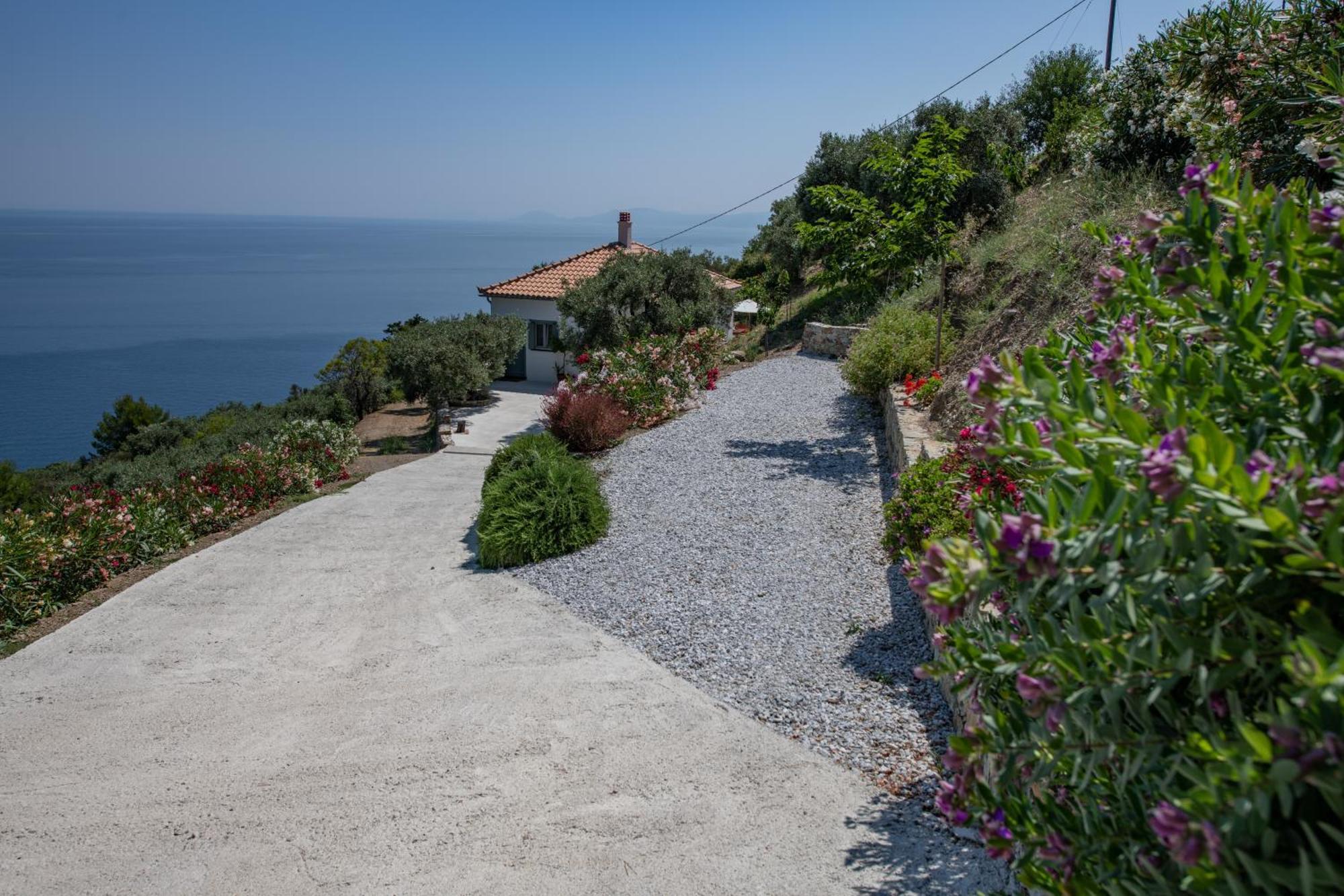 Avgi Villa Γλώσσα Εξωτερικό φωτογραφία